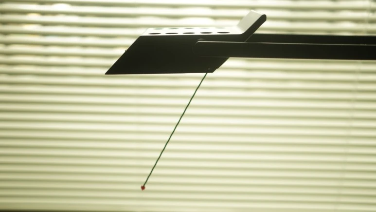 DSC01268.JPG?type=w773