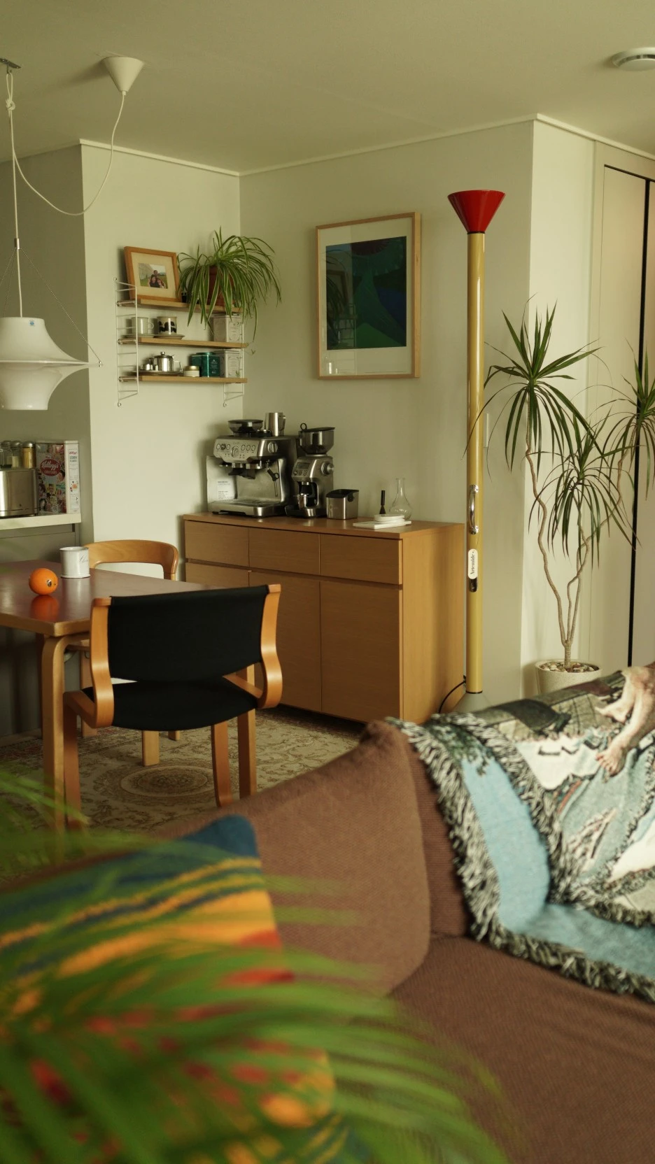 DSC01434.JPG?type=w1