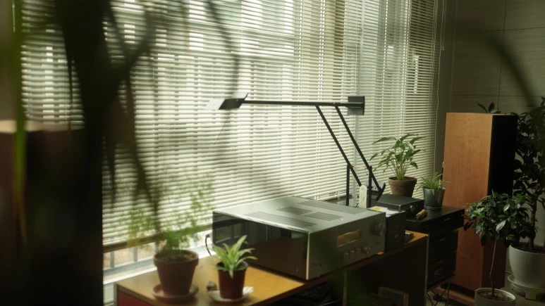 DSC01293.JPG?type=w773