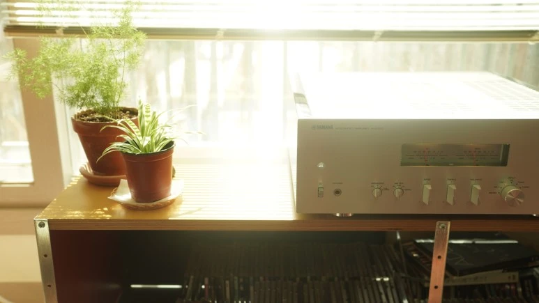 DSC01258.JPG?type=w773