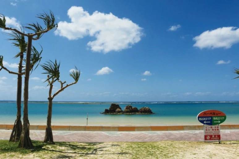 IMG_8343.JPG?type=w773