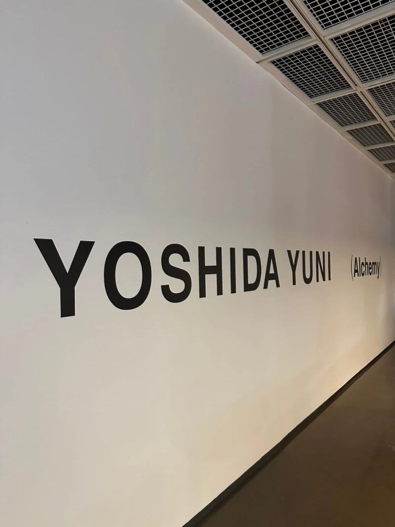 IMG_0609.jpg?type=w800