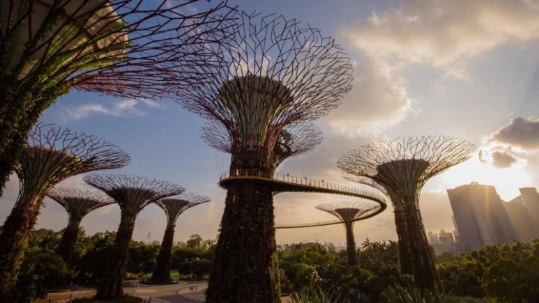 IMG_8347.JPG?type=w773