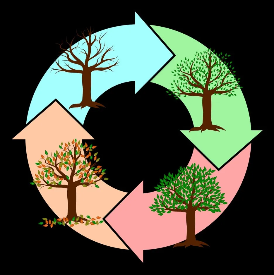 seasons-of-the-year-2019523_1280.jpg?type=w1