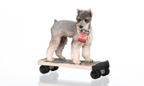 ?src=%22https%3A%2F%2Fsearch.pstatic.net%2Fcommon%2F%3FautoRotate%3Dtrue%26quality%3D100%26type%3Df640_380%26src%3Dhttps%253A%252F%252Fldb-phinf.pstatic.net%252F20240402_224%252F1712006241703aBWnk_JPEG%252Fr005_a030.jpeg%22&type=ff500_300