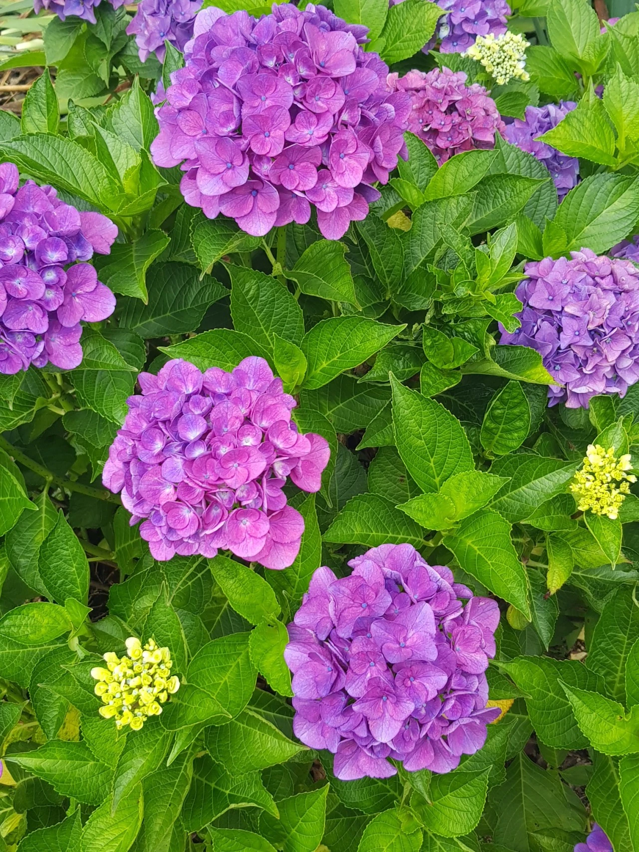 20210705%EF%BC%BF083736.jpg?type=w1600