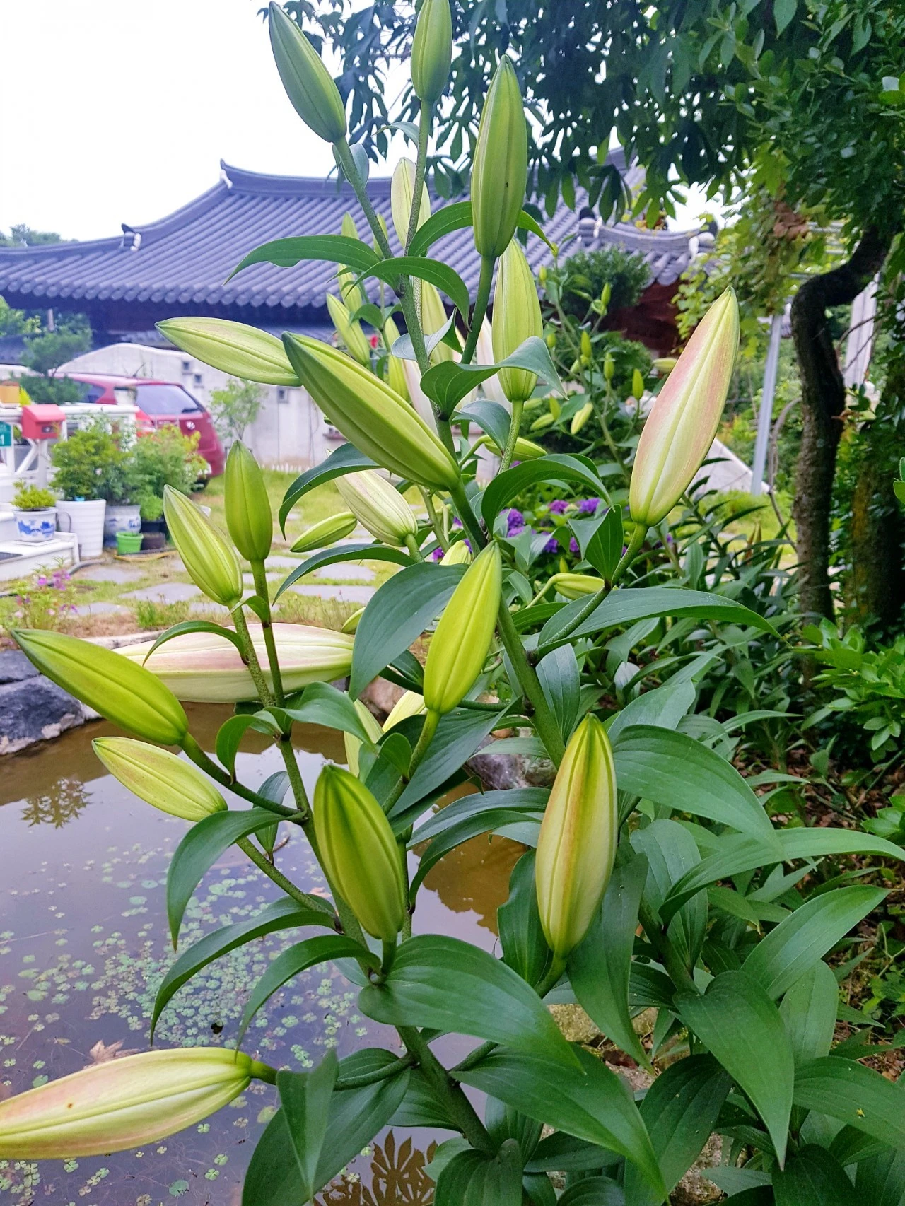 20210705%EF%BC%BF083327.jpg?type=w1600