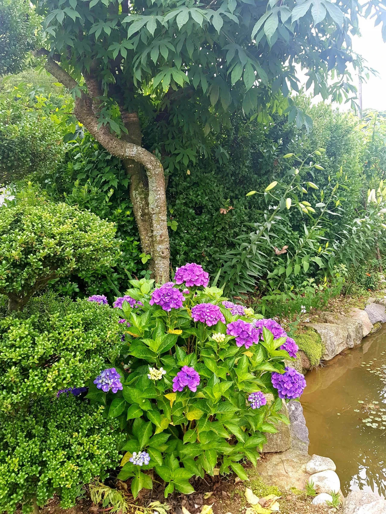 20210705%EF%BC%BF083542.jpg?type=w1600