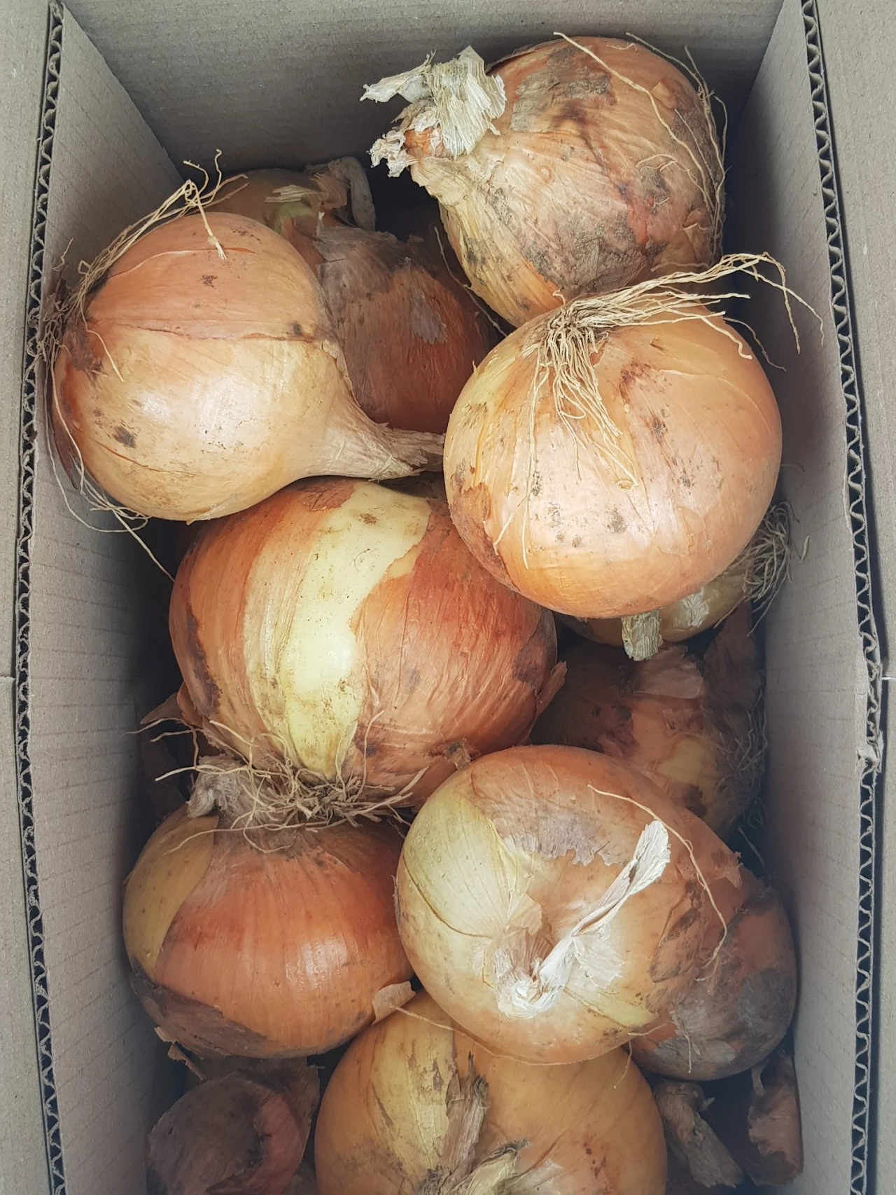 20210705%EF%BC%BF083055.jpg?type=w1600