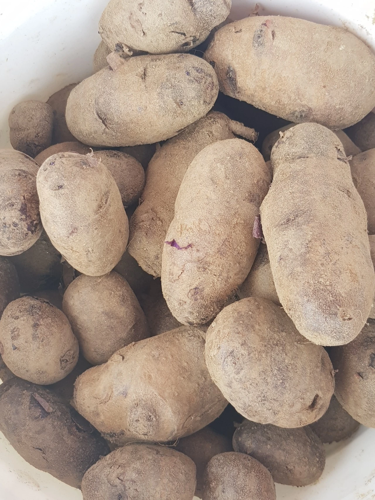 20210705%EF%BC%BF083101.jpg?type=w1600