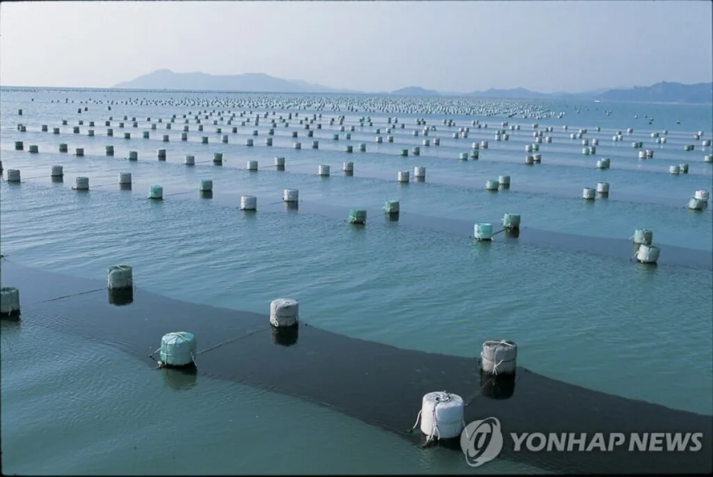 korean-seaweed-climate-crisis-3-1024x685.jpeg