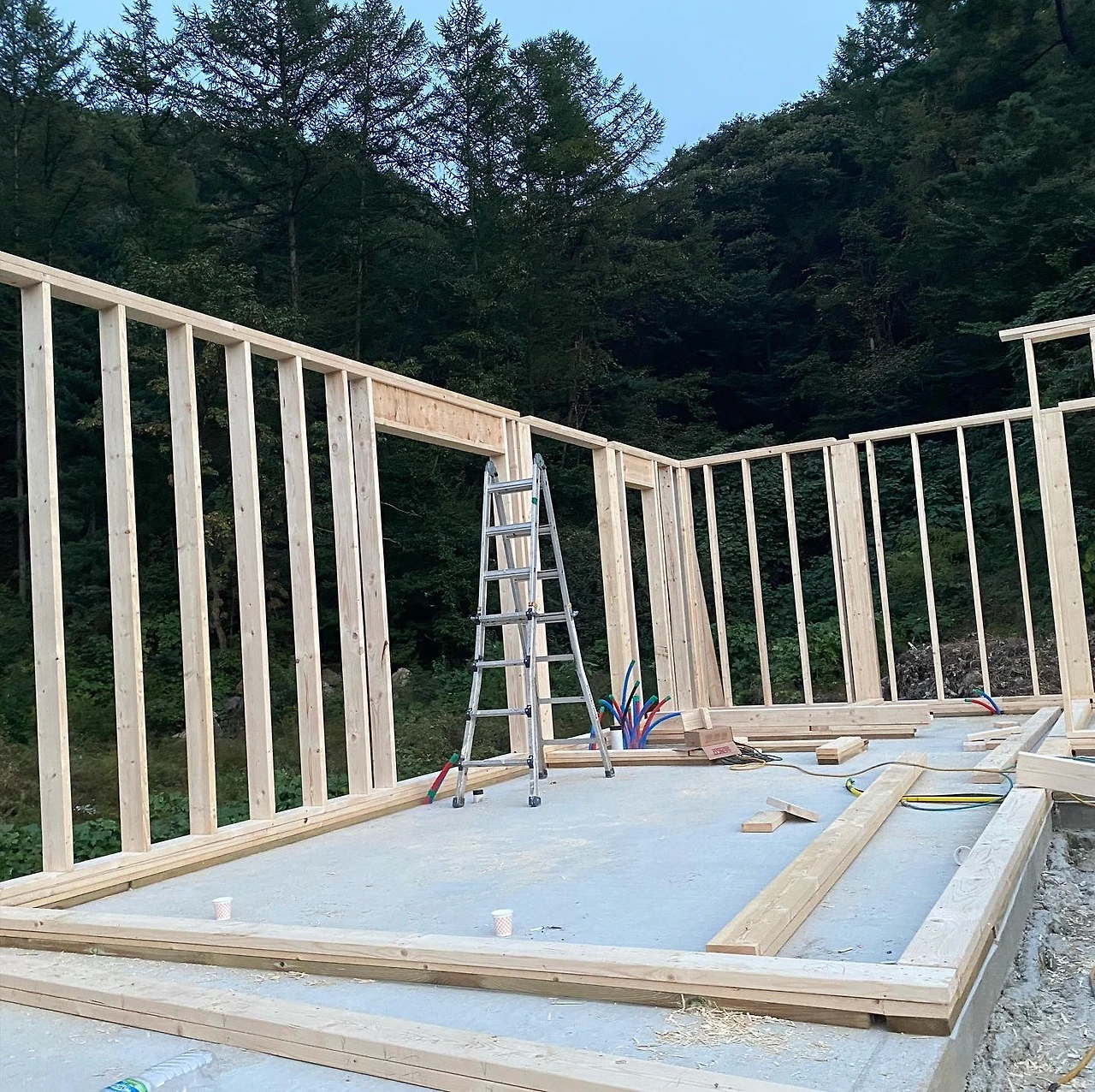 pHq9z9blMjIIP8Azk17_wXNNDb8