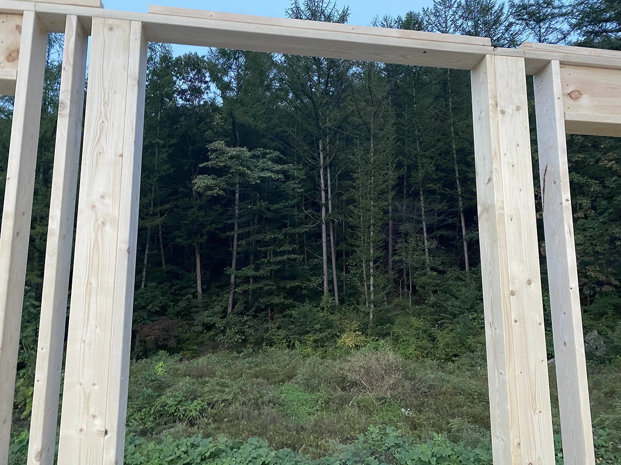 DMwrVn1usy2jUHApCh9tQvKmlzY