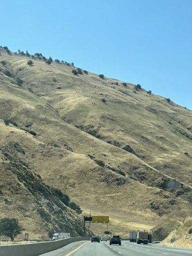 IMG_0735.jpg?type=w386