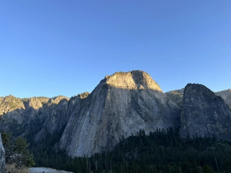 IMG_1641.jpg?type=w773