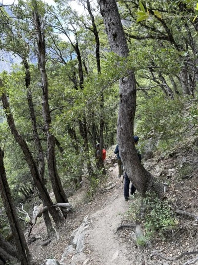 IMG_0964.jpg?type=w386