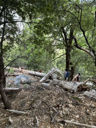 IMG_0965.jpg?type=w386