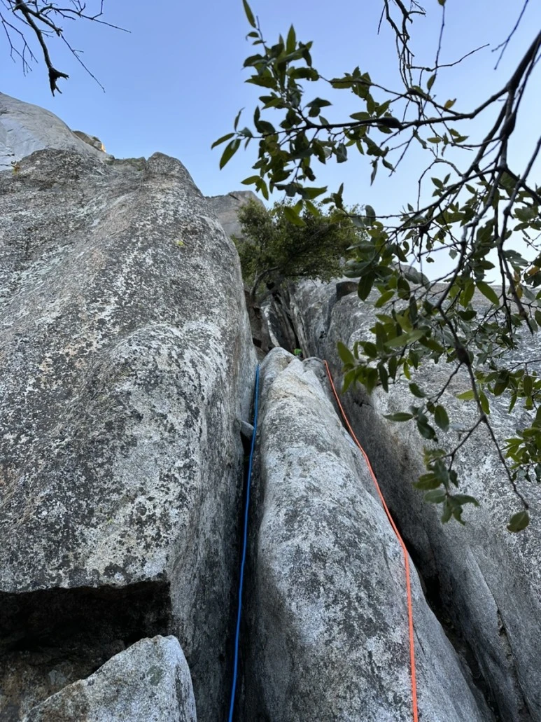 IMG_1022.jpg?type=w773