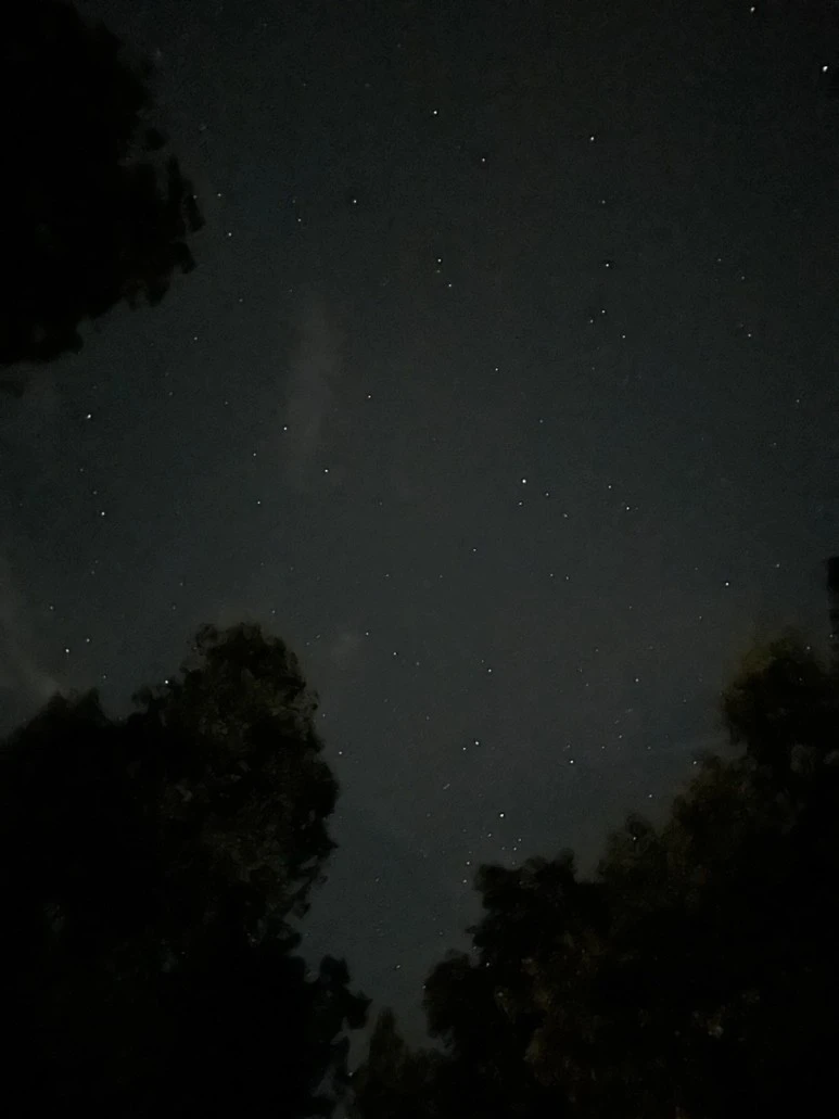 IMG_0830.jpg?type=w773