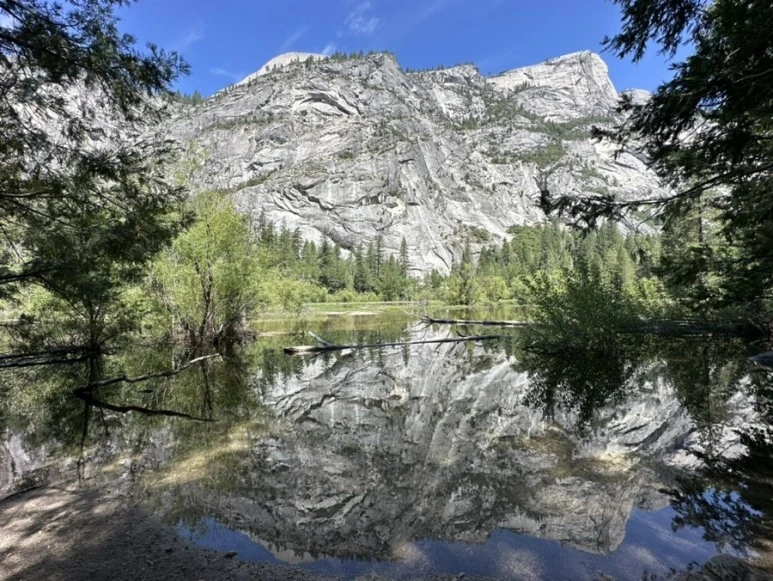 IMG_1314.jpg?type=w773