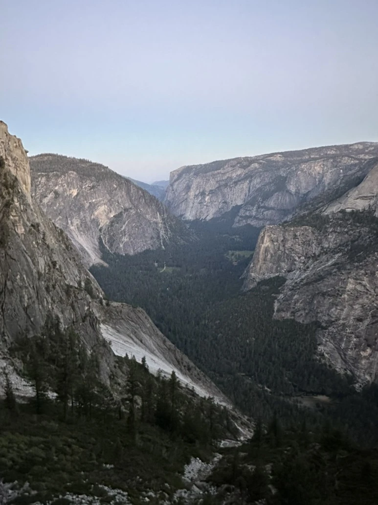 IMG_1228.jpg?type=w773