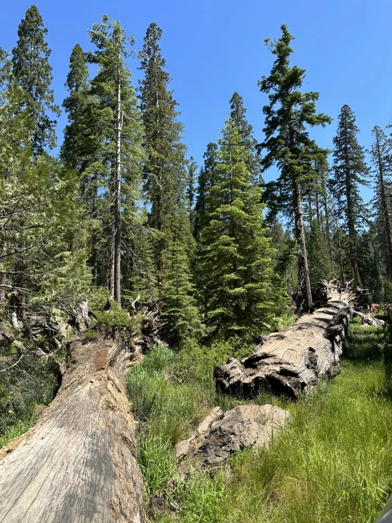 IMG_1448.jpg?type=w773