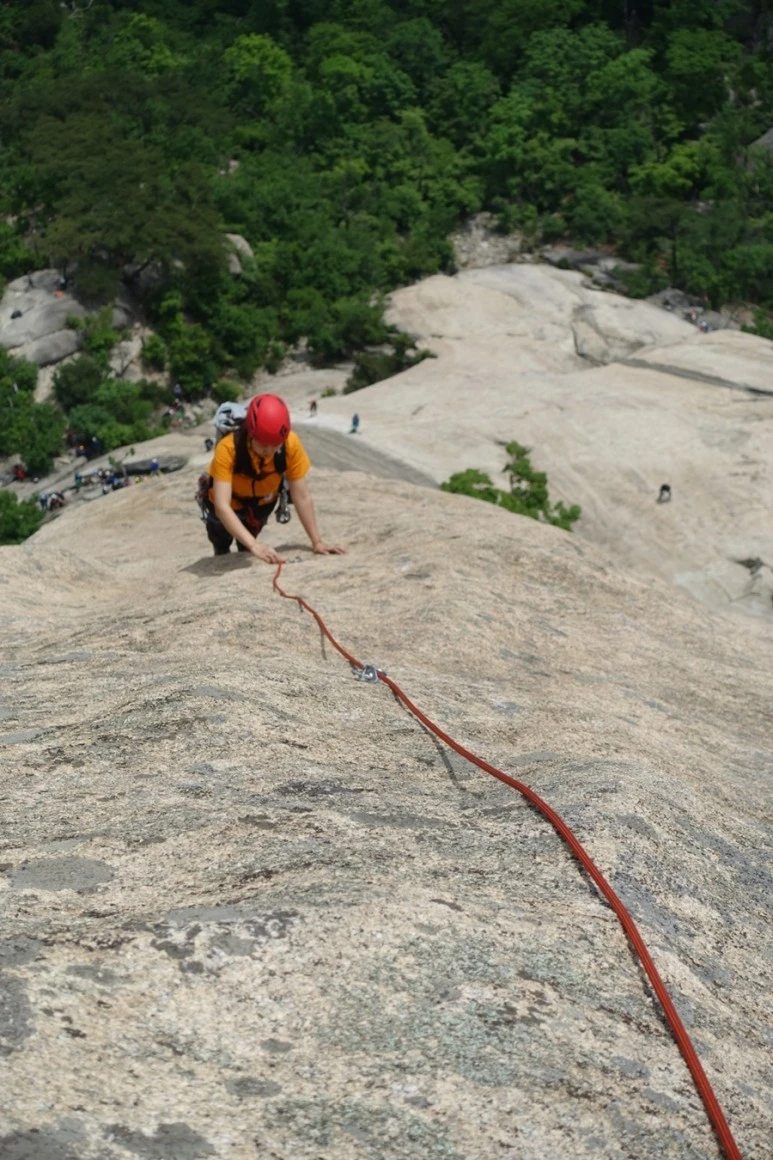 IMG_9447.JPG?type=w773