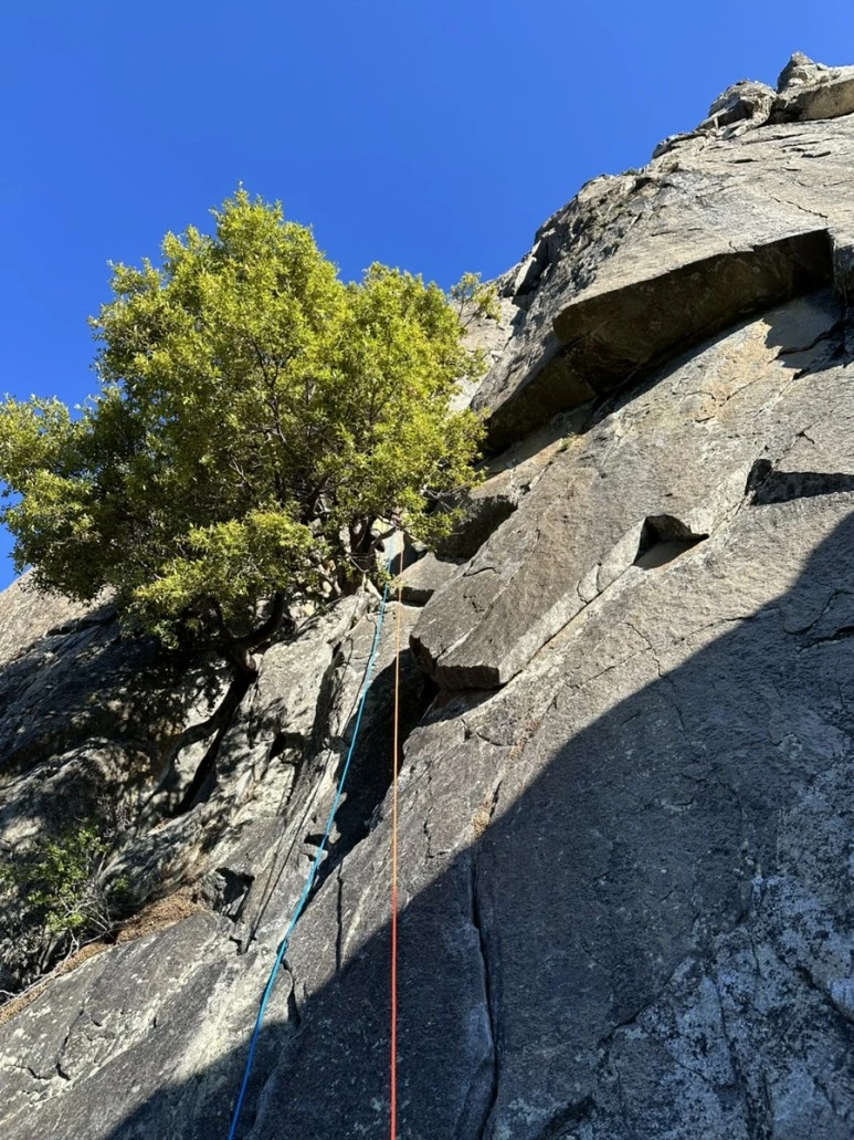 IMG_1030.jpg?type=w773