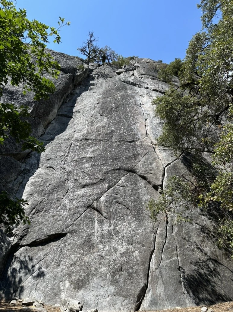 IMG_0923.jpg?type=w773