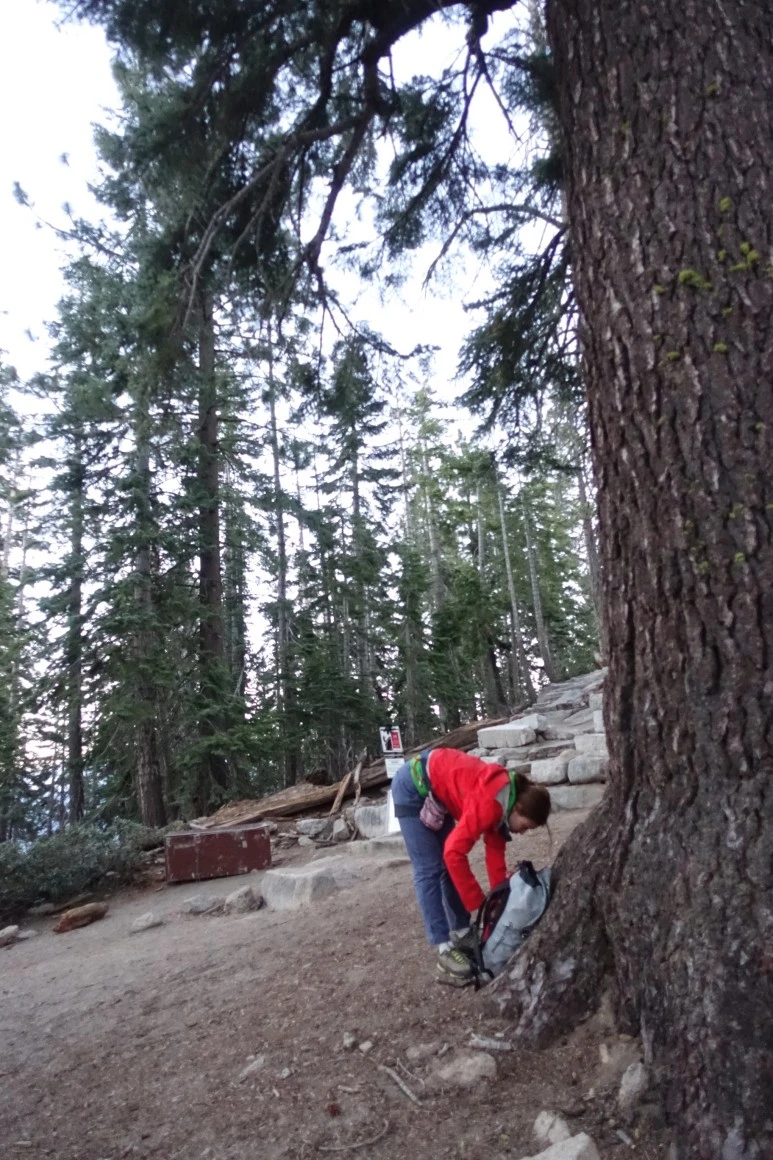 DSC09724.JPG?type=w773