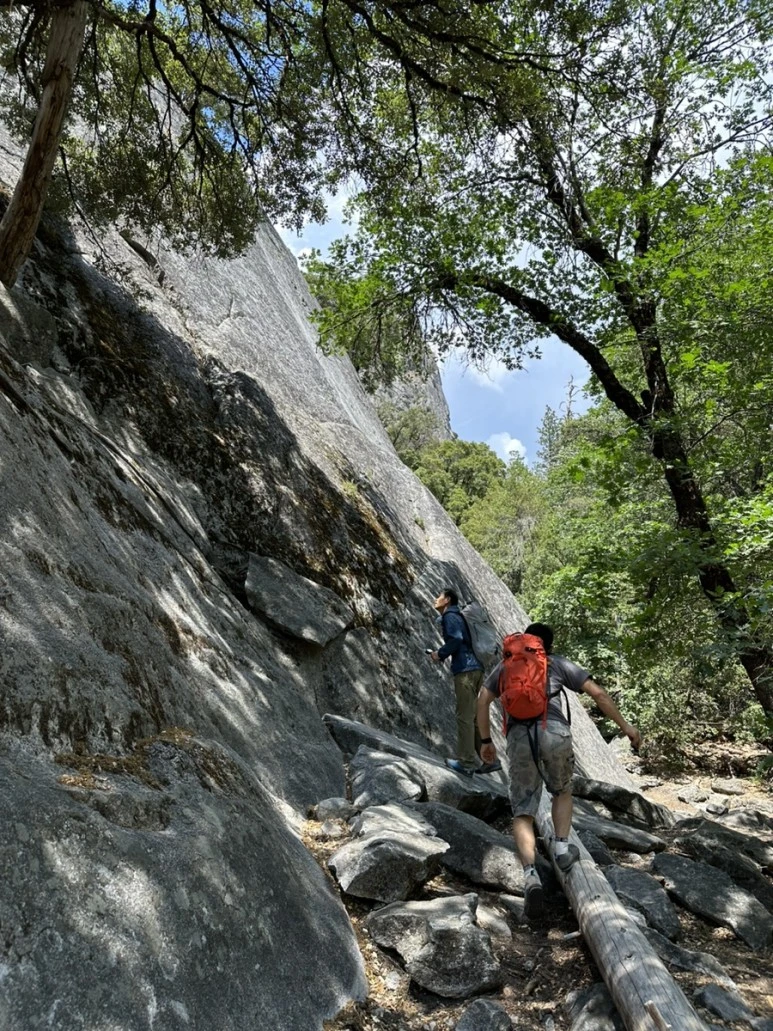 IMG_0925.jpg?type=w773