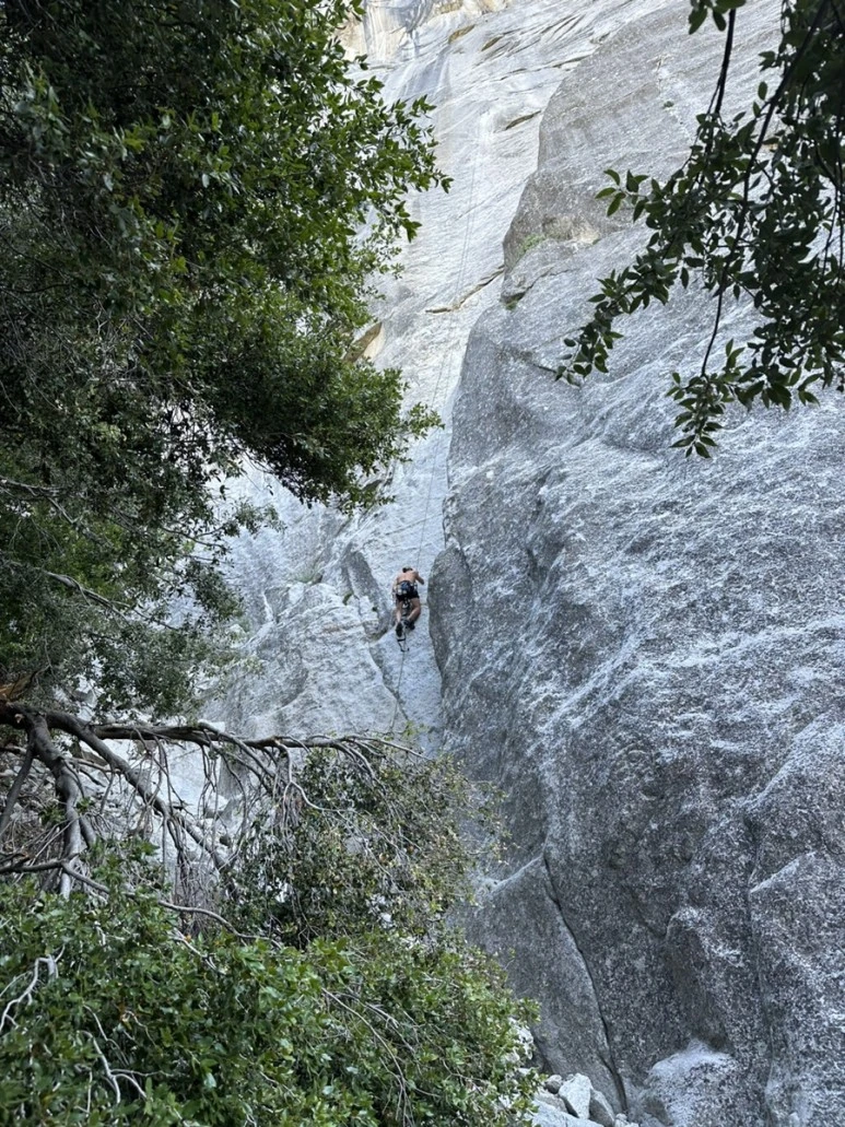 IMG_1612.jpg?type=w773