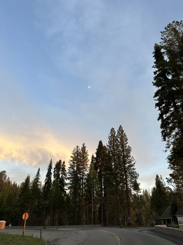 IMG_0786.jpg?type=w773