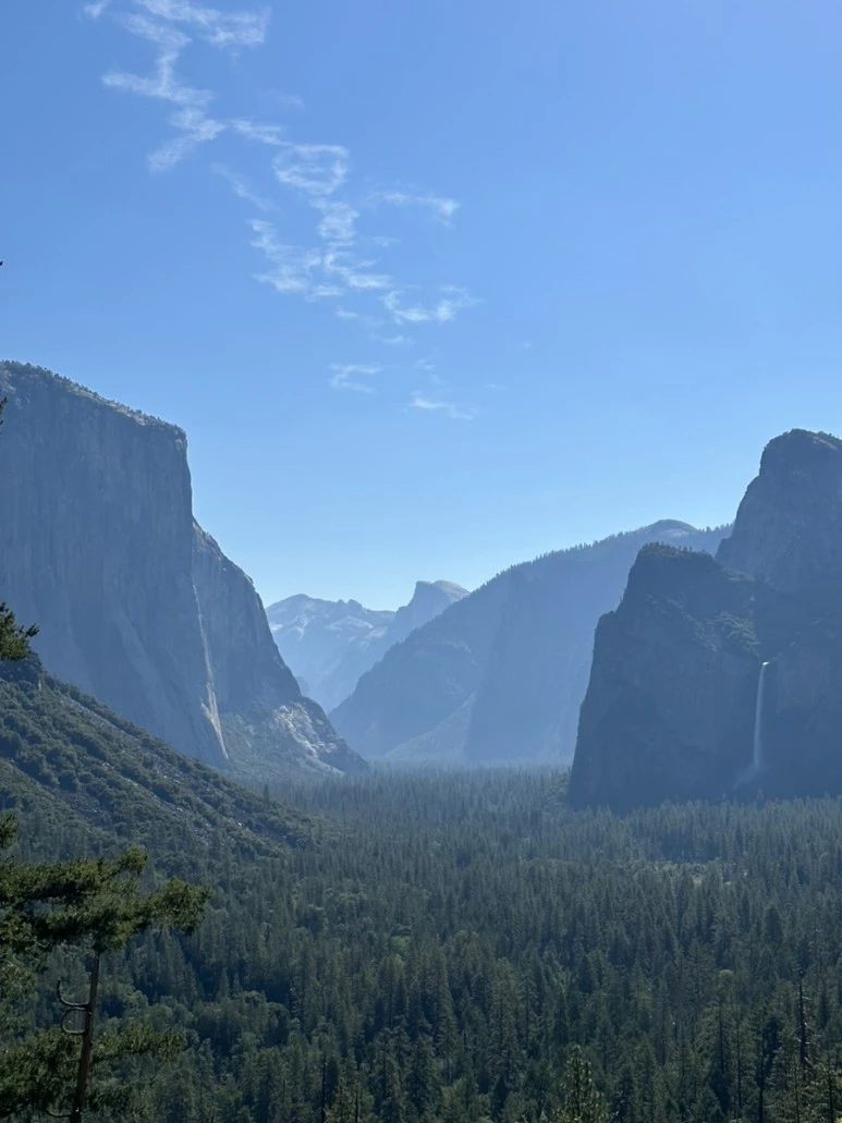 IMG_1393.jpg?type=w773