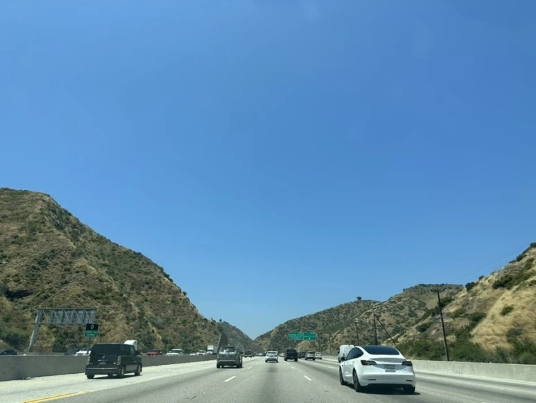 IMG_0710.jpg?type=w773