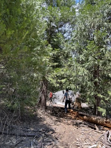 IMG_0916.jpg?type=w386