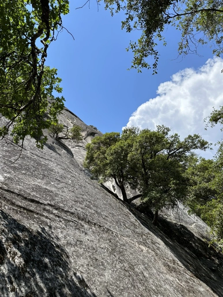 IMG_0924.jpg?type=w773