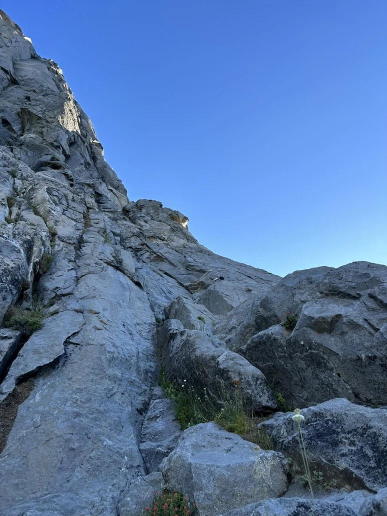 IMG_1036.jpg?type=w773