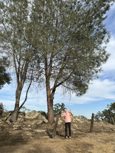 IMG_0743.jpg?type=w386