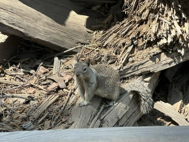 IMG_1459.jpg?type=w773