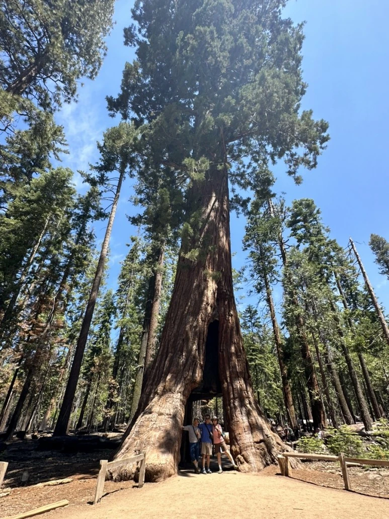 IMG_1492.jpg?type=w773