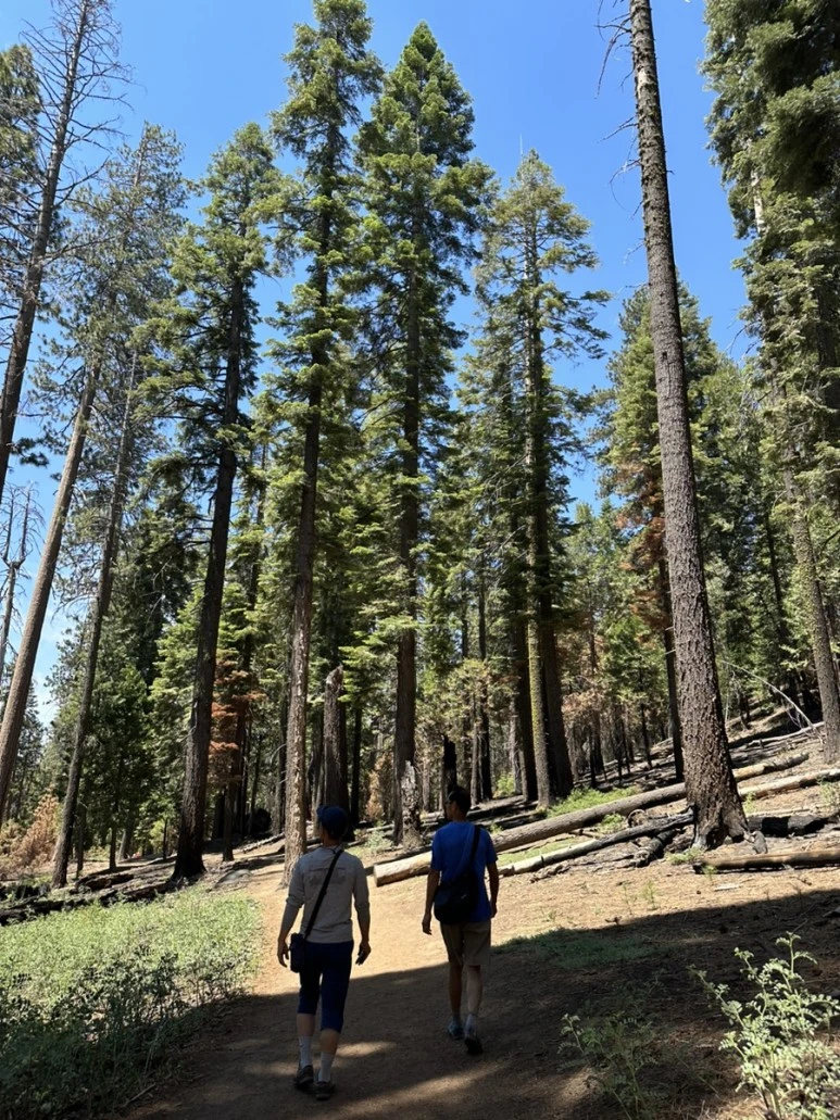 IMG_1512.jpg?type=w773