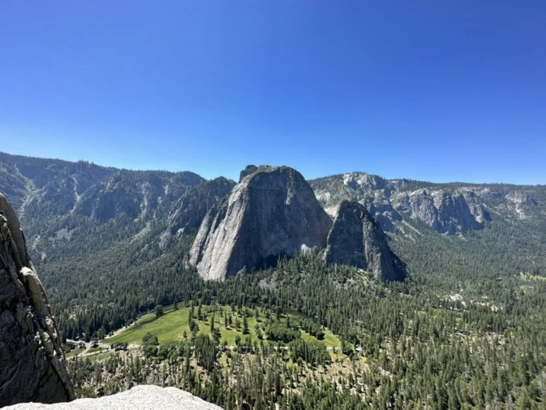 IMG_1675.jpg?type=w773