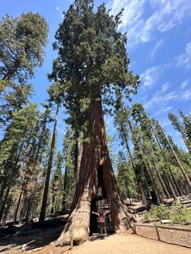 IMG_1503.jpg?type=w386