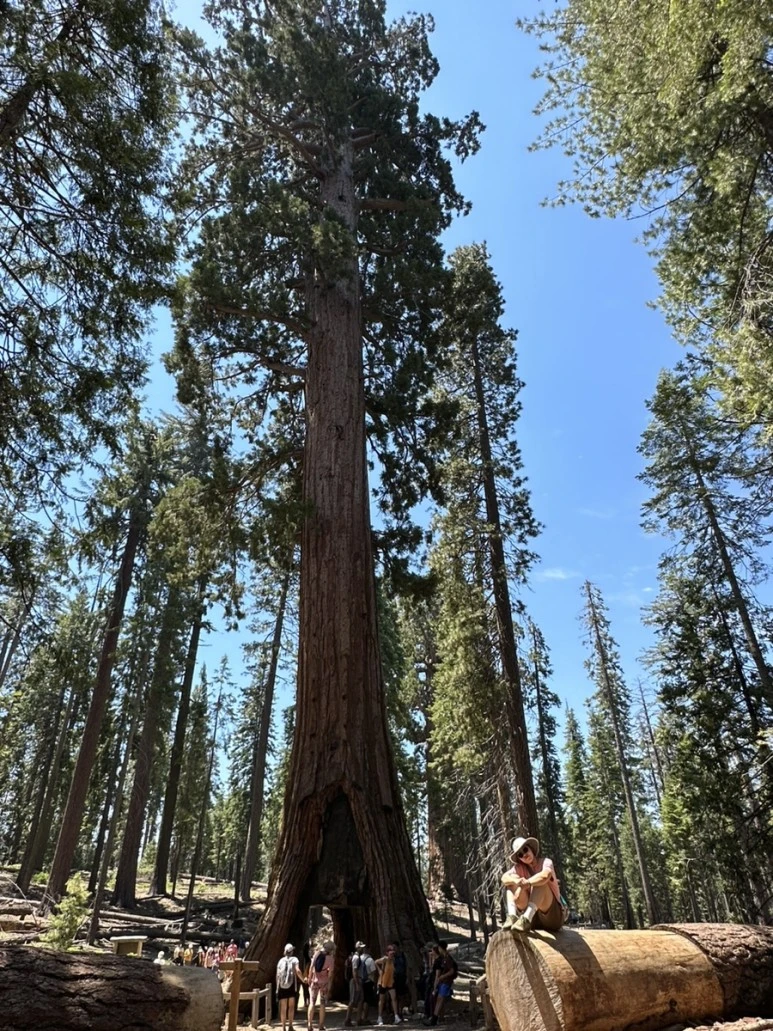 IMG_1498.jpg?type=w773