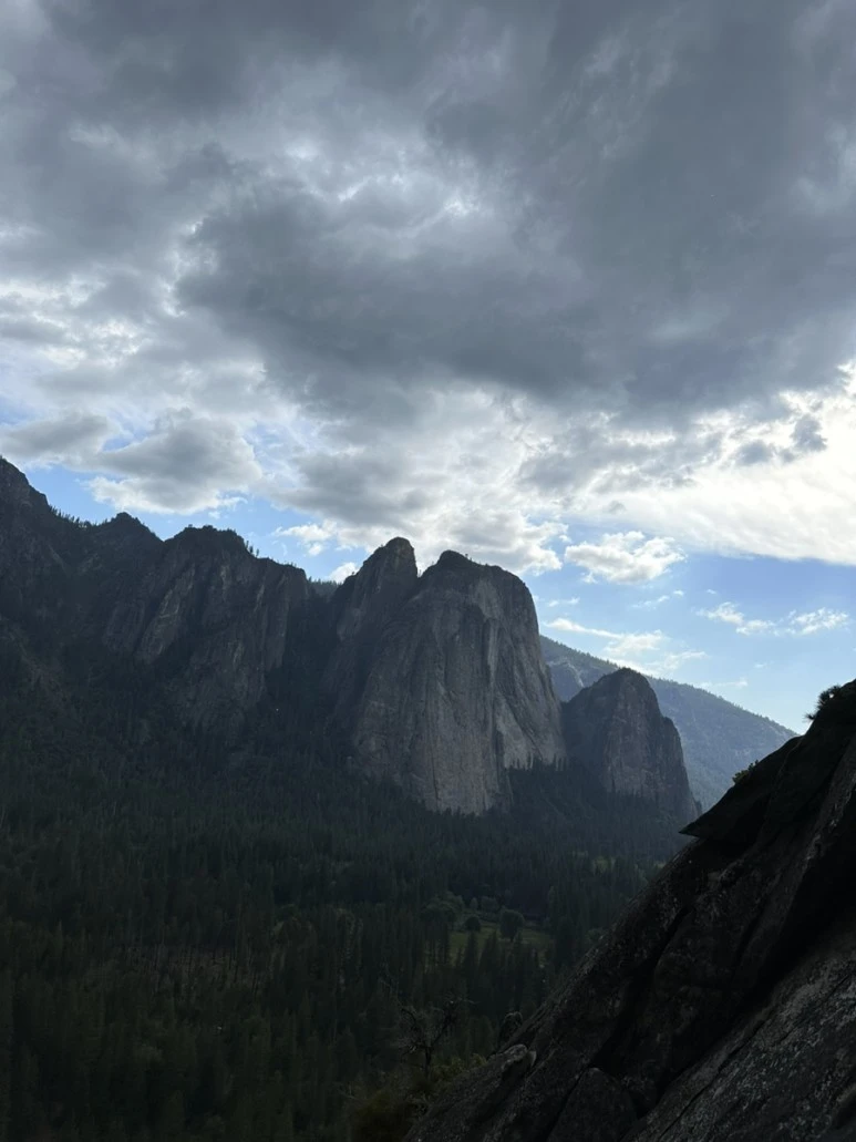 IMG_0941.jpg?type=w773