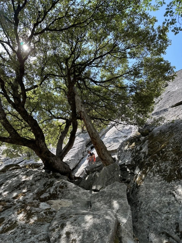 IMG_0927.jpg?type=w773