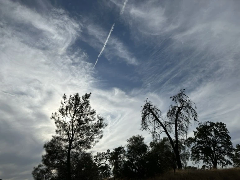 IMG_0747.jpg?type=w773