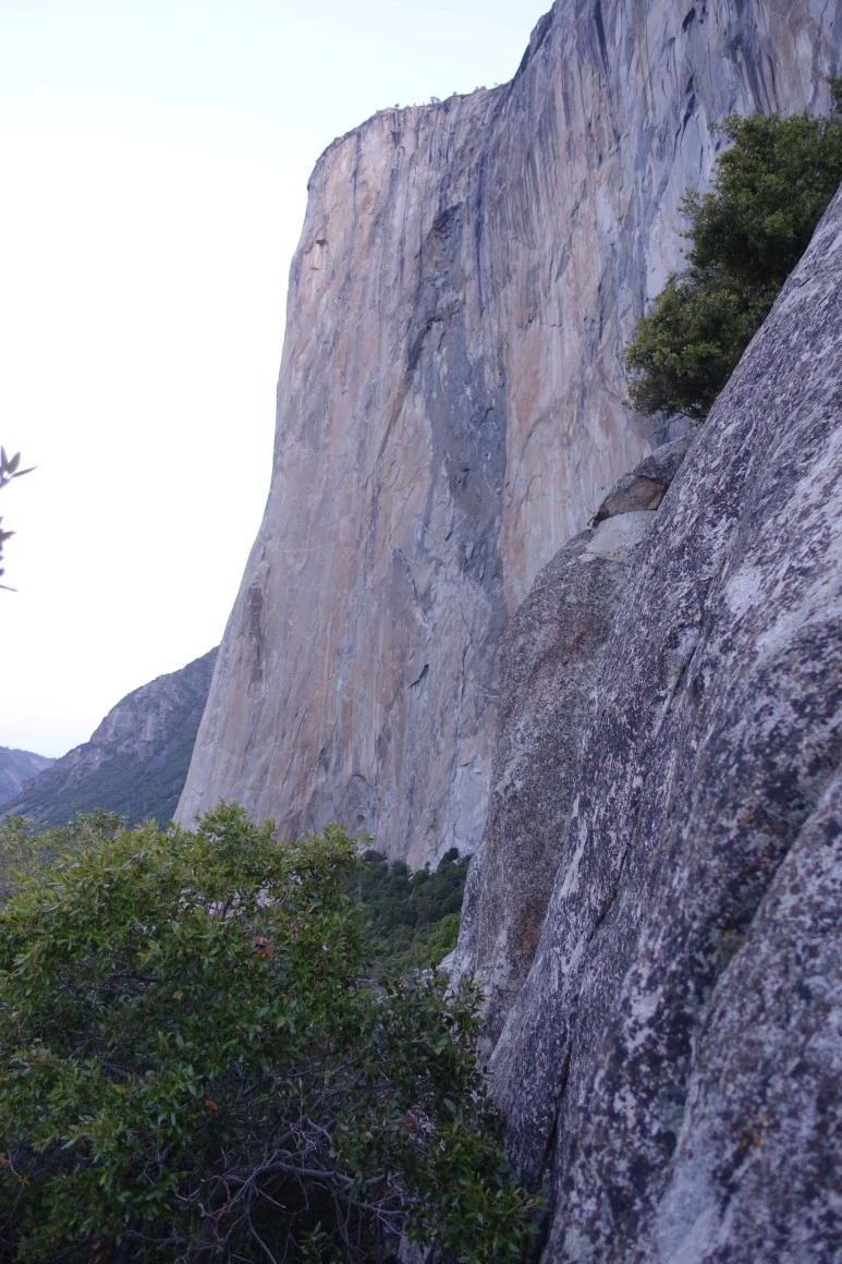 DSC09492.JPG?type=w773