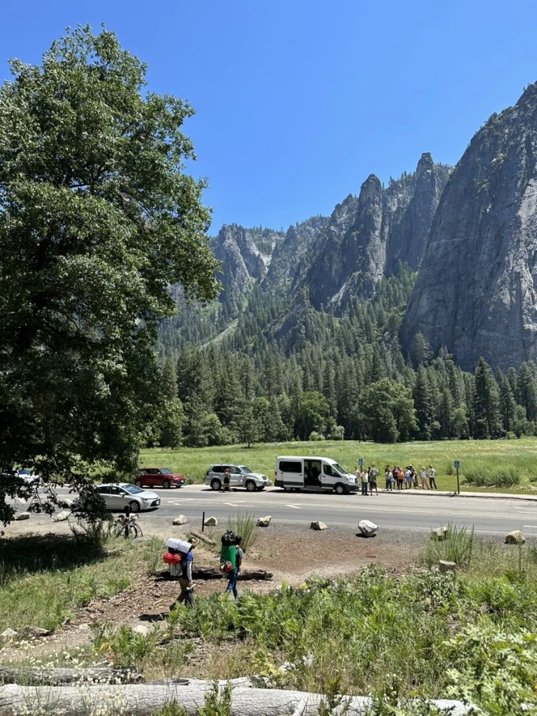 IMG_1699.jpg?type=w773